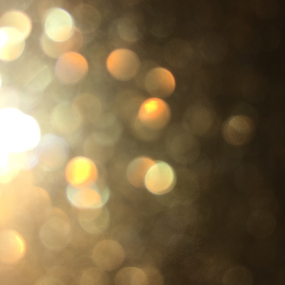 Meet your Posher, Ineesha
